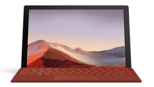 萨迦清洁和维护 Surface